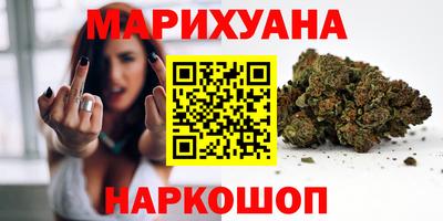 сатива Камышлов