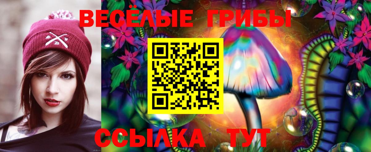 Галлюциногенные грибы Magic Shrooms  магазин  наркотиков  Киржач  Вход с VPN  Галлюциногенные грибы прущие грибы 